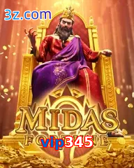 vip345